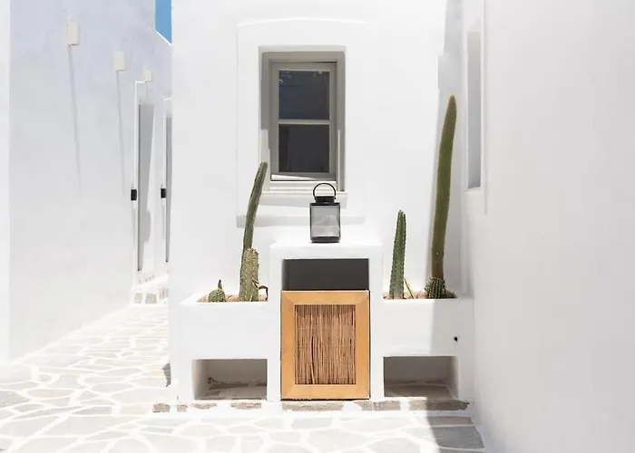 Apartment Swell S5 New In *