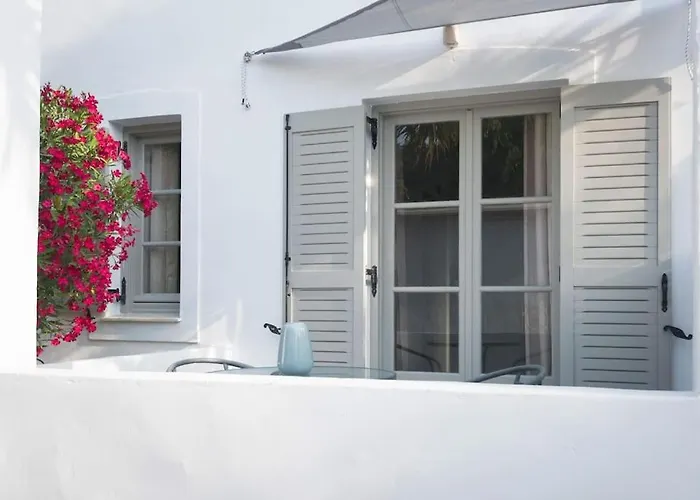 Apartment Swell S5 New In *