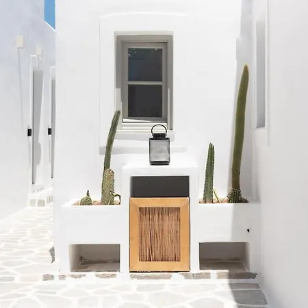 Apartment Swell S5 New In *